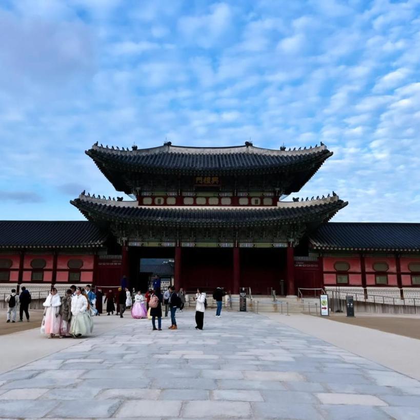 Oppaa Blue Seoul