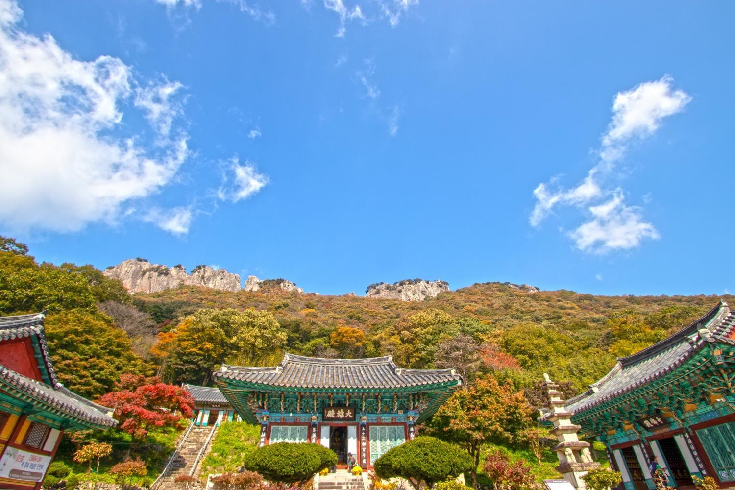 Oppaa Blue * Seoul